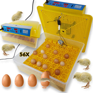 Inkubator za 56 jaja sa kontrolom vlage i temperature